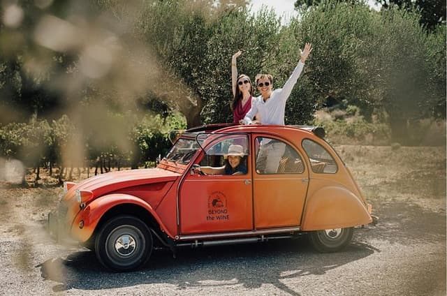 1/2 day private Vintage tour, vineyards of Saint-Tropez