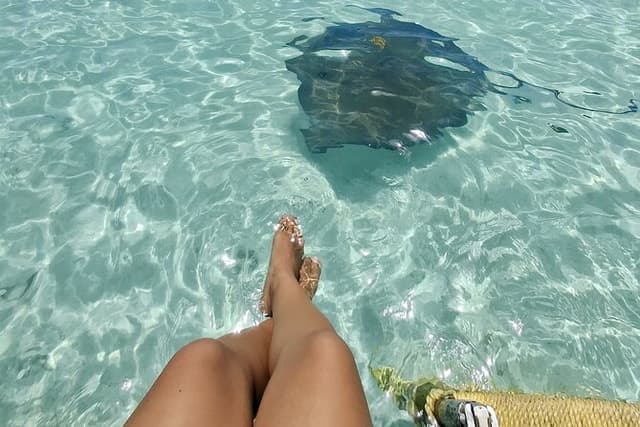 ANTIGUA FROM TOP TO BOTTOM: Stingray City, Beach, lunch & more...