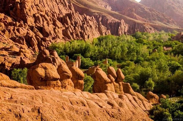 Dades Gorge Monkey Fingers Canyon Guided with Local Experience