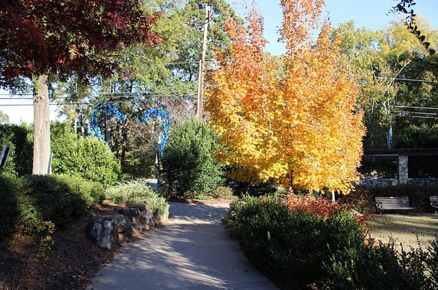 The 2 Hour BYOB Greenville City Cycling Tour