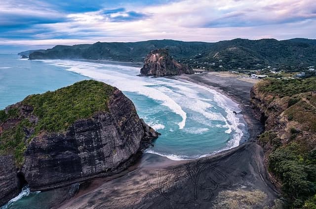 Auckland West Coast Rainforest and Beach Tour