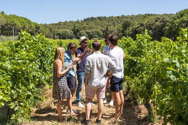 Provence Wineries and Luberon Villages Day Trip from Aix-en-Provence