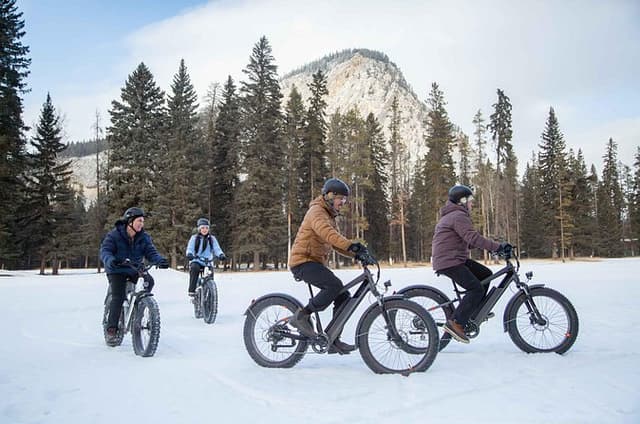 Banff Electric Fat Bike Tour: Small-Group Trail Ride