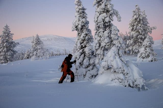 Levi: Snowshoeing adventure in the National Park