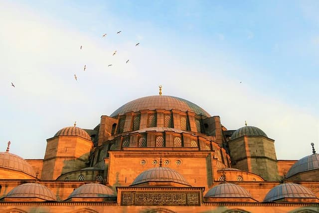 Istanbul Guided Tour: Hagia Sophia, Basilica Cistern and More!