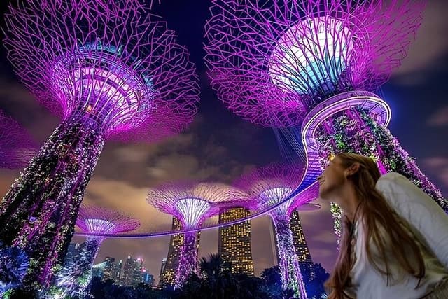 Singapore Guided Night Tour with 2 Light Shows & River Cruise
