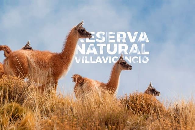 Tour in Reserva Villavicencio