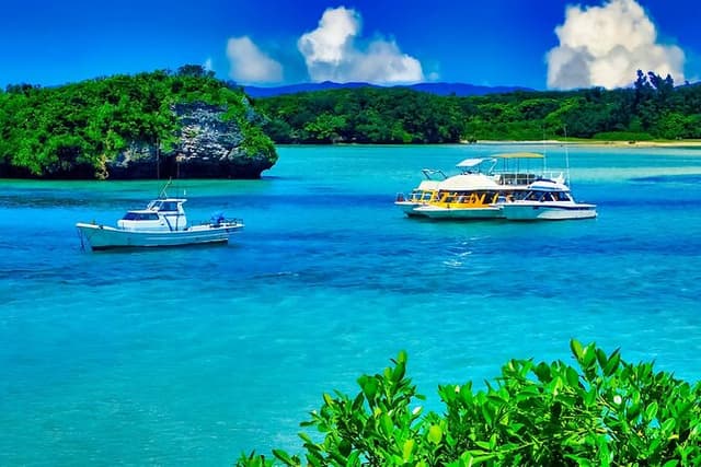 Ishigaki Island Highlights Tour
