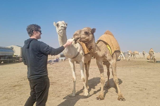 Best Kuwait City Tours & Experiences
