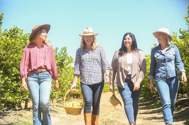 Savor the Valley: Cattle Ranch-to-Olive Grove On Farm Experience 