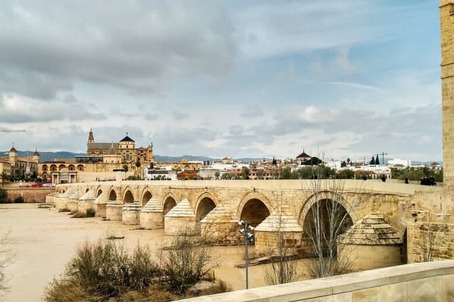 Private tour to Cordoba from Seville (several options)