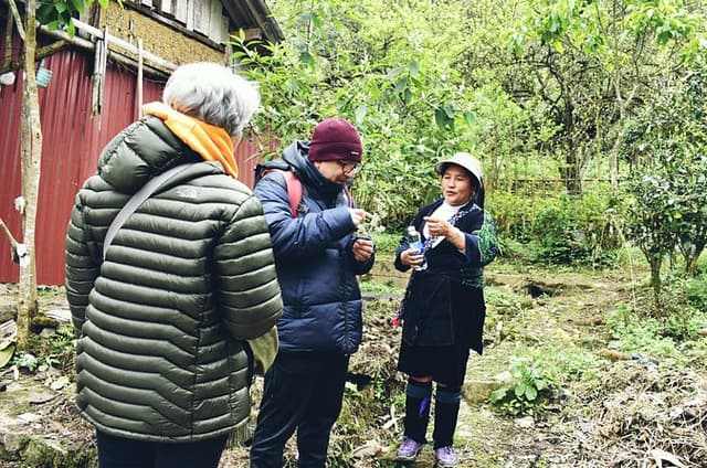 1 Day Moderate Trekking in Sapa through Highest Village