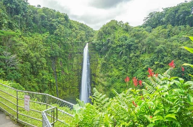 Hilo Finest Waterfalls and Town Tour
