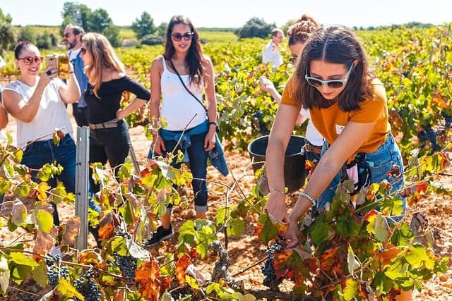 Valencia Vineyard Tour: Rustic Grilled Brunch & Wine Tasting
