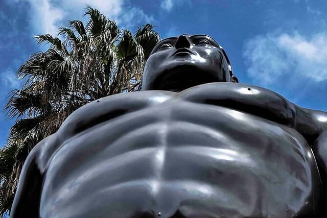 City Tour Medellin Customizable with Art Book Included