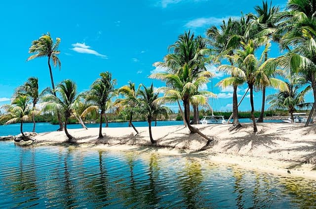 Heritage & Flavors: Private Shore Tour from Grand Cayman Port