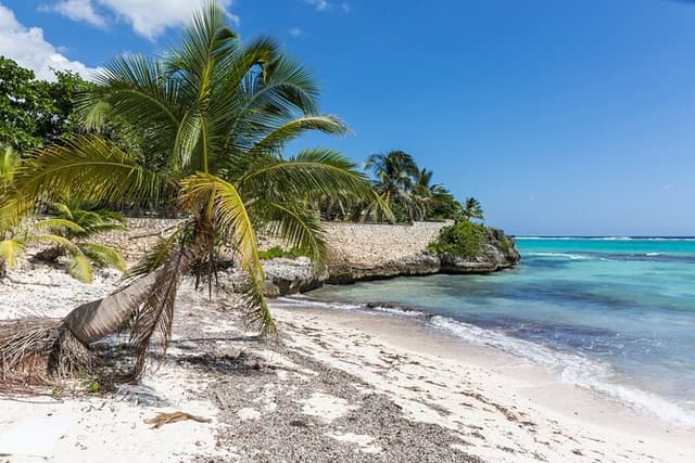 Beach Escape: Private Shore Tour from Grand Cayman Port