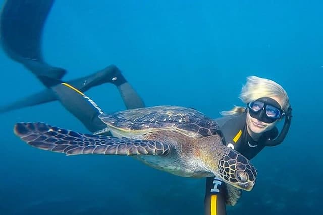 La Jolla Cove Guided Snorkeling Tour with Sea Lions and Sea Caves