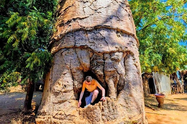 Baobab tour in Morondava