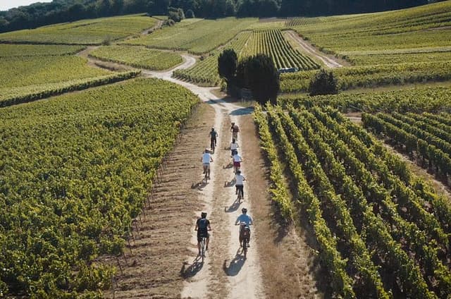 Reims: day in Champagne by electric bike with tastings