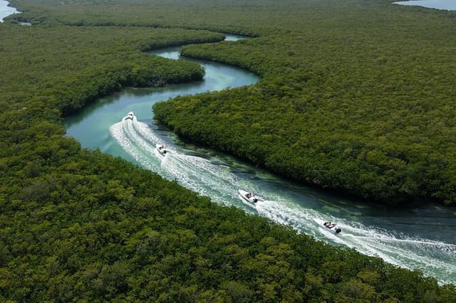 Mayan Jungle Tour: 5 Experiences in 1 Cancun Adventure