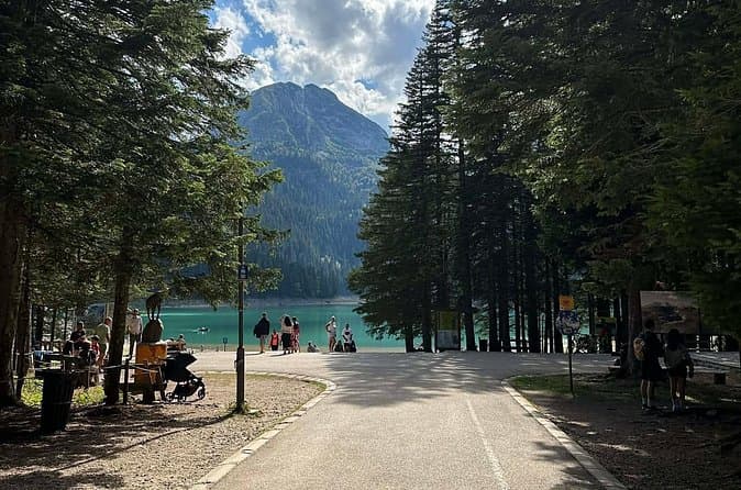 Best Tours & Activities in Budva