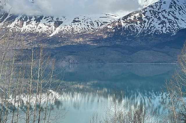 Full Day Seward Tour