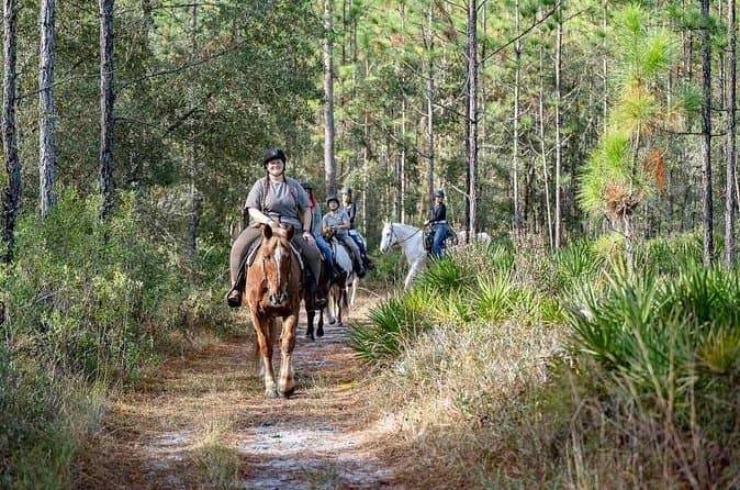 Best Horseback Rides in Goethe Forest Miami