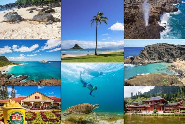 Oahu Island Tour: 13 ppl Max, Turtle Beach + Lunch
