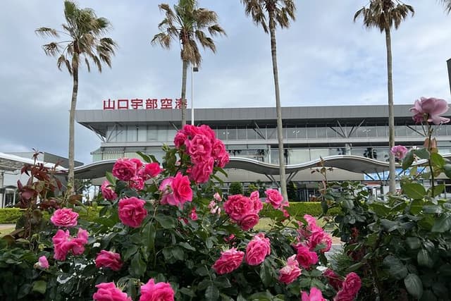 Private Transfer Yamaguchi Ube Airport
