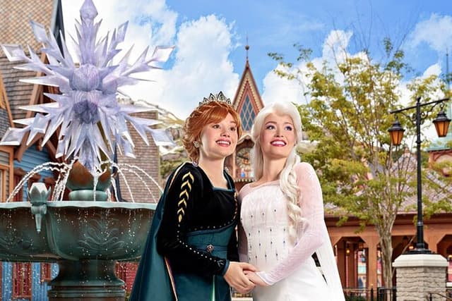 Disneyland® Paris 1 Day Ticket with Transport from Paris