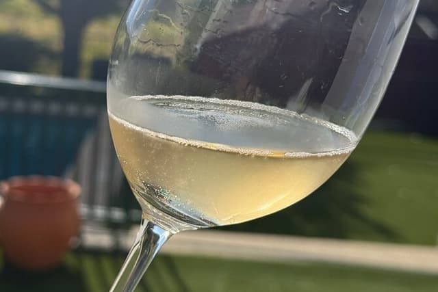 Wine Tasting at Quinta dos Novais in Douro Valley