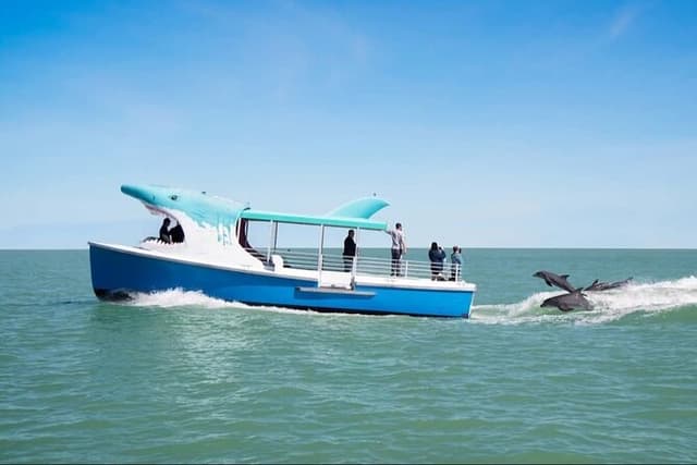 Shark Boat Destin Dolphin Watch and Sunset Cruise