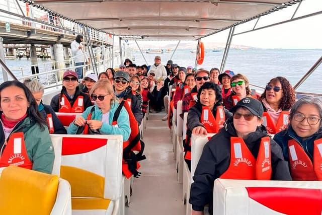 Paracas, Ballestas Islands and Huacachina Guided Tour