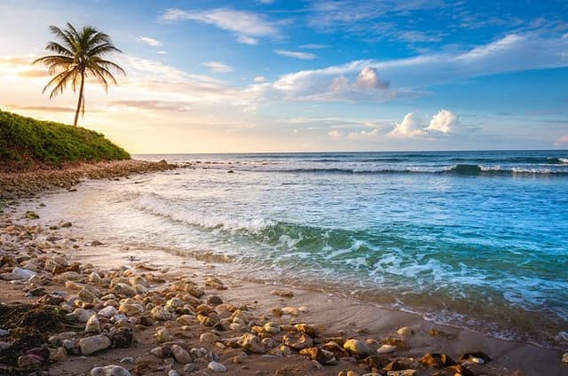 Montego Bay Private Shore Tour: Bamboo Rafting & Blue Hole Escape