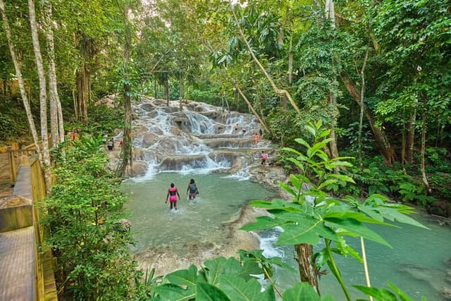 Ocho Rios Highlights Discovery – Private Shore Tour 4 Hours