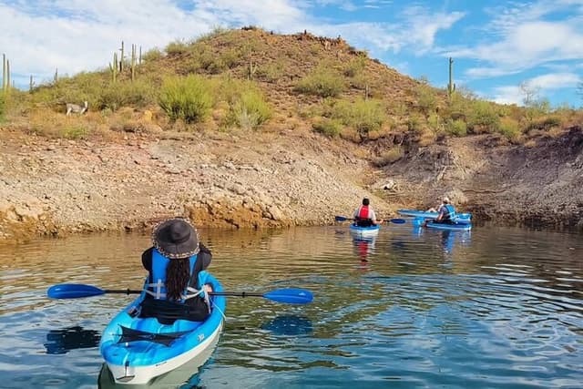 Single Kayak Morning Tour