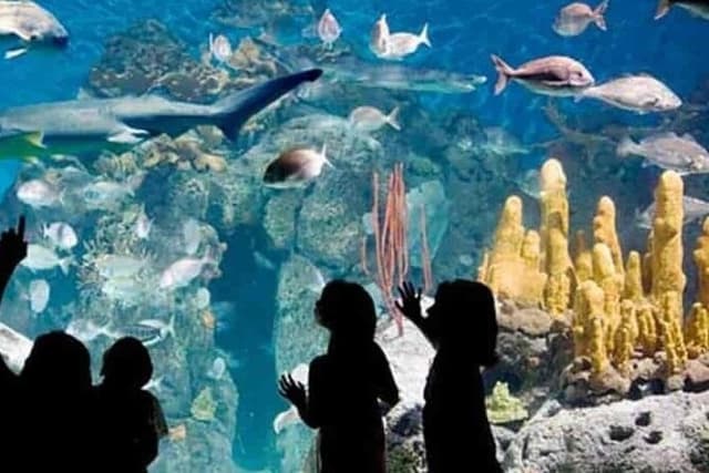 Temaiken Biopark Tour with Transfer Included
