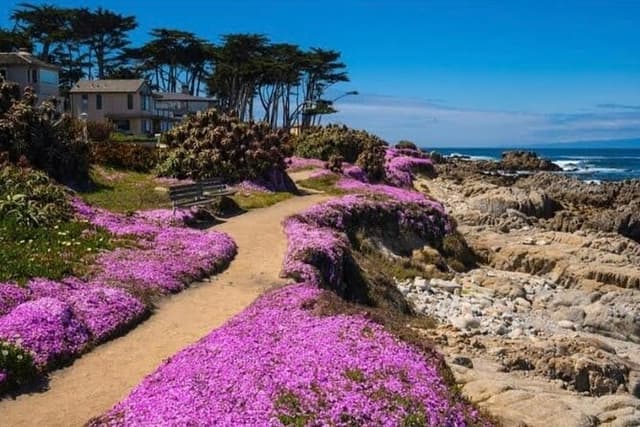 Private Big Sur and Carmel Scenic Drive from San Jose