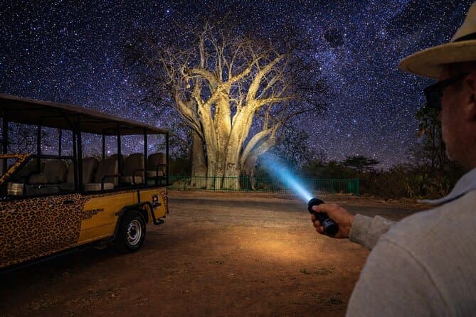 Top-Rated Night Safaris in Victoria Falls
