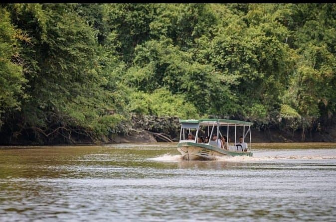 Best Palo Verde Wildlife Tours from Playa Hermosa