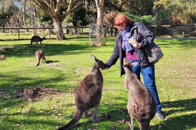 Adelaide Hills Cleland and Hahndorf Small Group Premium Tour