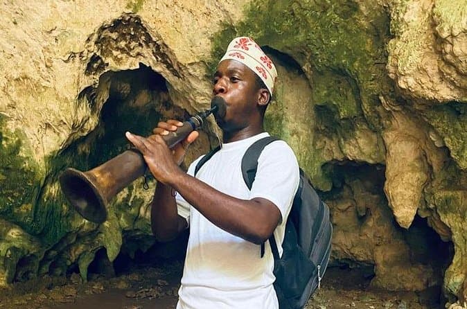 Best Zanzibar Cultural & Turtle Tours in Zanzibar City