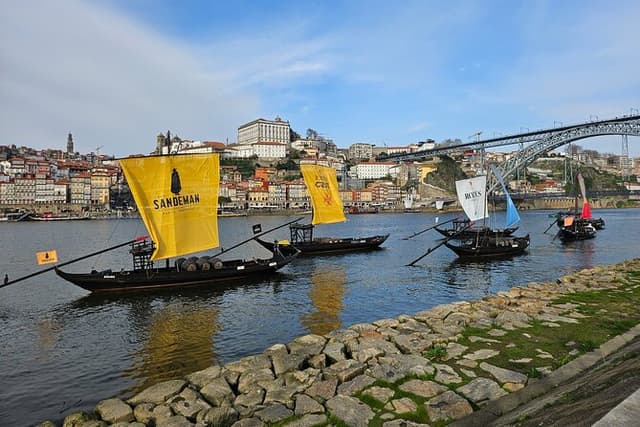 Tour or Disposal- Porto Sightseeing with Wine Tasting