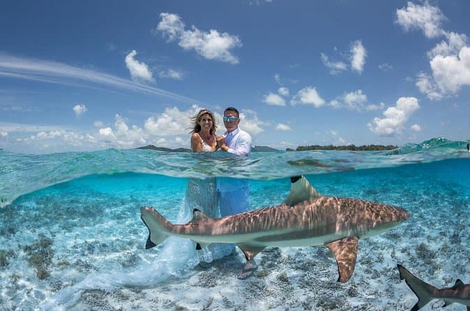 Best Aquatic Photo Tour in Bora Bora
