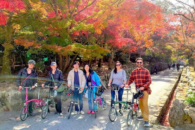 Authentic Uji Matcha Experiences & Tea Culture Tours