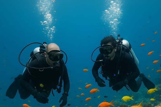 Best Scuba Diving Adventures in Ocho Rios, Jamaica