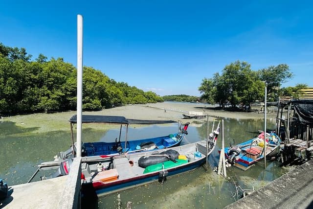 Private Penang Tour with Driver (8 Hours)