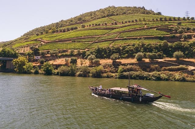 Private Douro Valley Tour - 2 Wineries & 1 Hour River Cruise