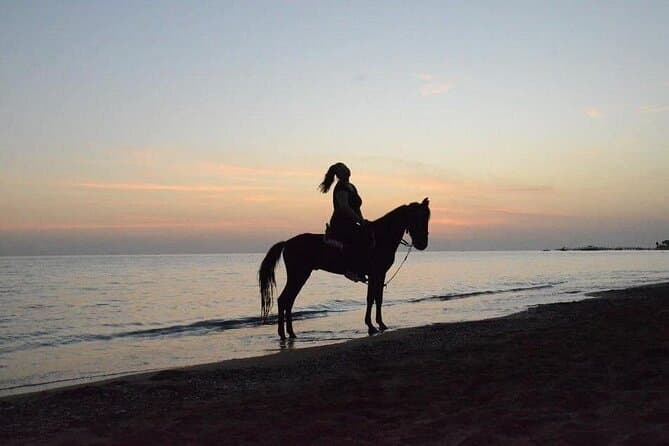 Ride Through Paradise: Side Horse Safari Experience